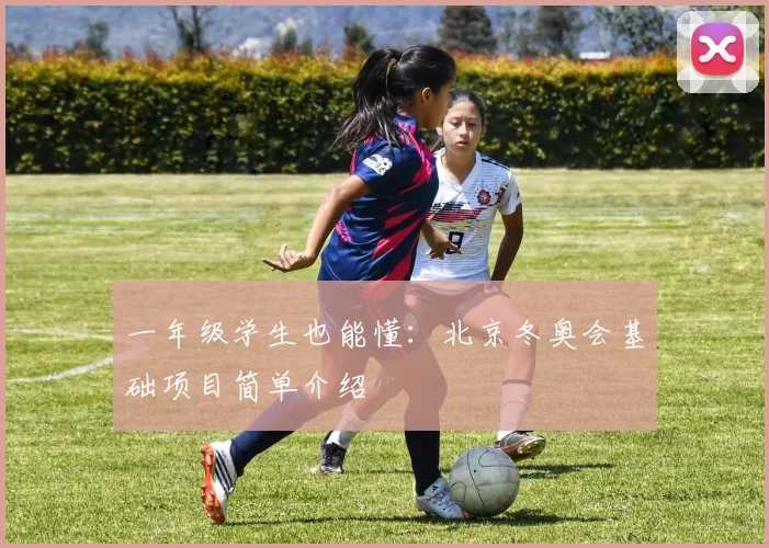 一年级学生也能懂:北京冬奥会基础项目简单介绍